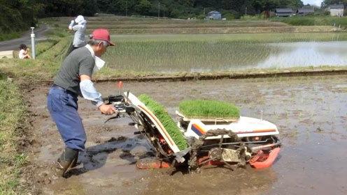 国产插秧机的视频维修,视频教学助您轻松上手