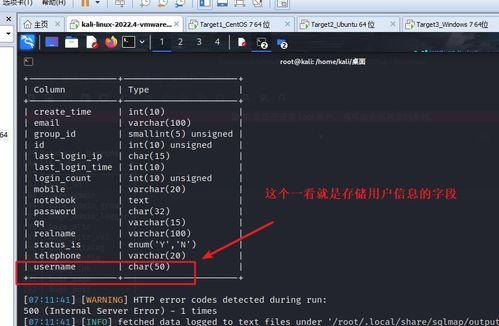 国产socks在线视频,探索网络新视界