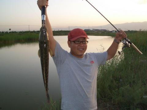 国产翘嘴竿评测视频最新