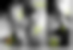 亚洲欧美国产免费综合视频,全球视角下的亚洲欧美国产免费综合视频概览