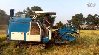 国产收割机漂移视频播放,速度与激情的田间对决