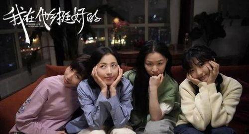 国产剧敬酒视频大全集,笑中带泪的温馨回忆