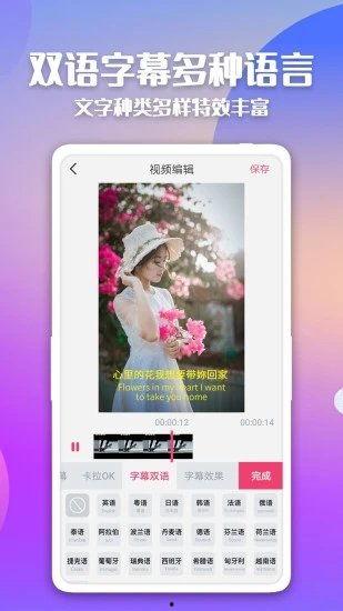 视频 国产 字幕 小说,视频中的国产字幕小说魅力展现