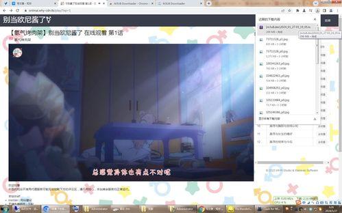 国产和假国产的对话视频,对话视频中的真伪较量