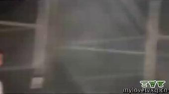 国产男主sm男奴视频,情感纠葛与自我救赎