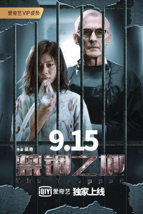 悬疑片国产片段大全视频,惊悚瞬间，揭秘悬疑魅力